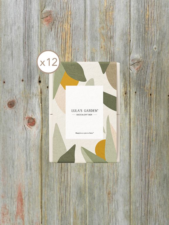 LULAS GARDEN SLEEVE - LULAS GARDEN